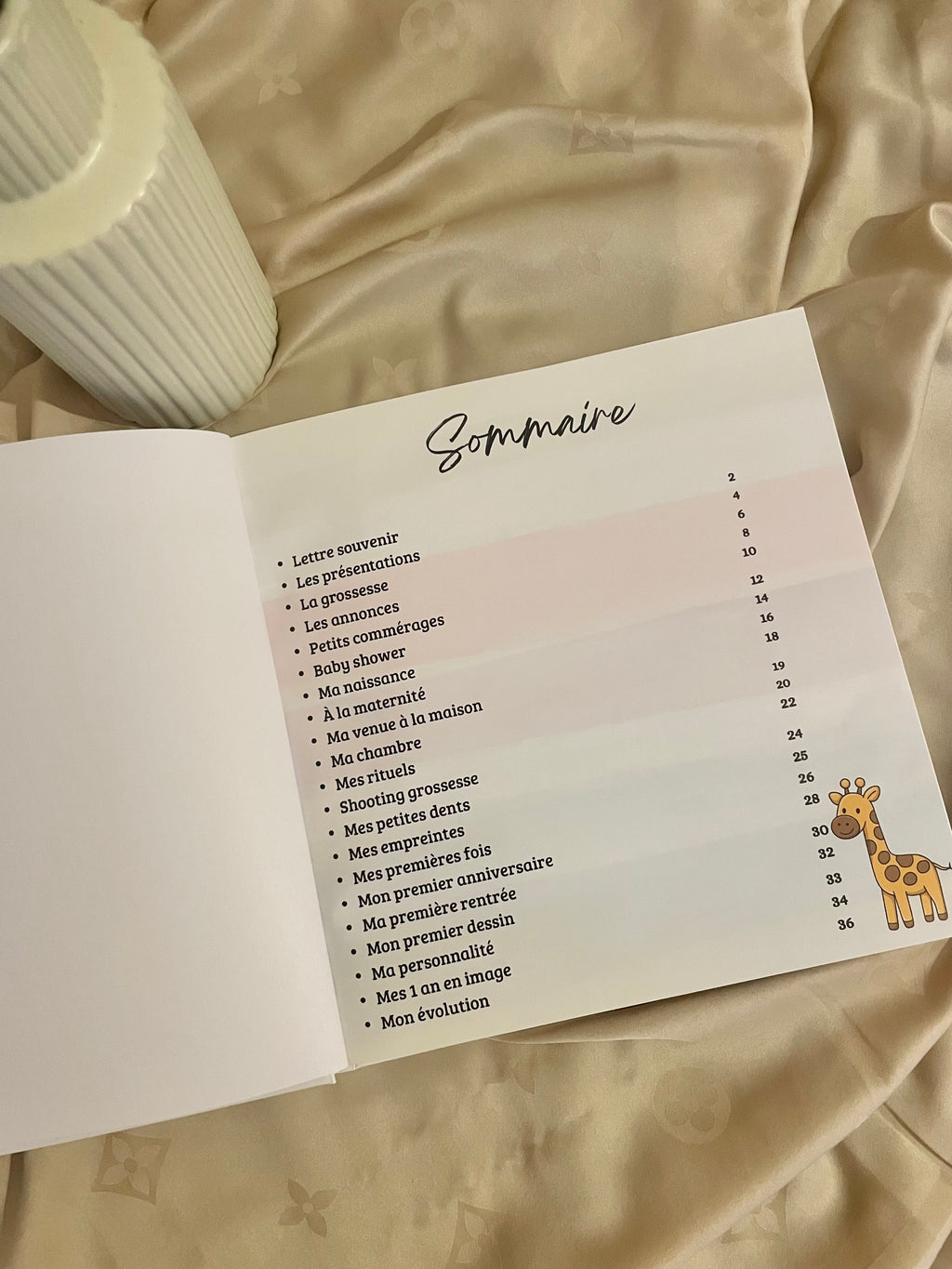 Livre de naissance